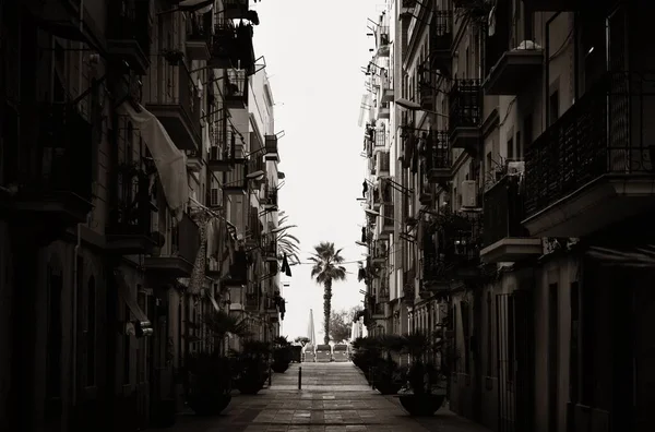 Vista Sulla Strada Albero Solitario Barcellona Spagna — Foto Stock