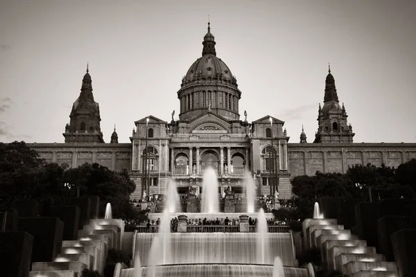 Museu Nacional Arte Catalunha Com Fonte Mágica Placa Espanya Barcelona — Fotografia de Stock