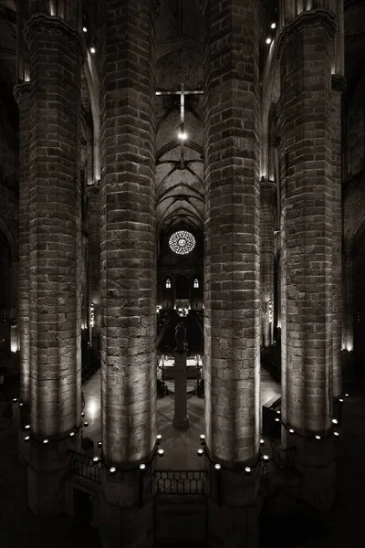 Barselona Spanya Santa Maria Del Mar Bazilikası — Stok fotoğraf