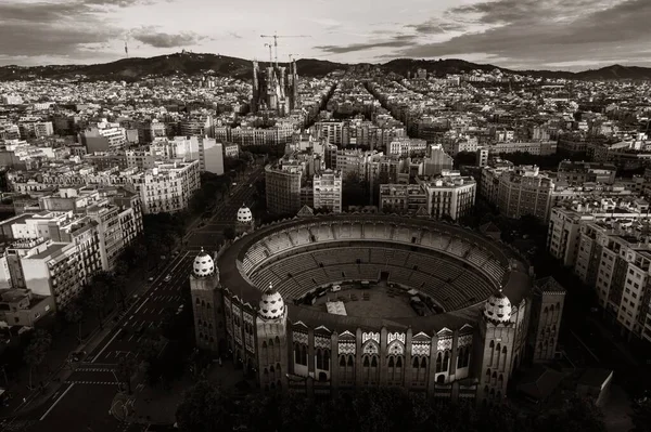 Vista Aérea Basílica Sagrada Familia Como Famoso Punto Referencia Barcelona —  Fotos de Stock