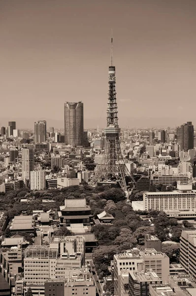 東京タワーと都市スカイライン屋上ビュー — ストック写真