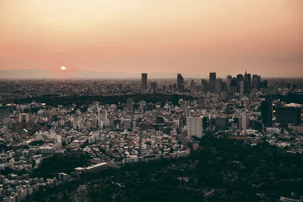 Tokyo Şehir Manzarası Çatı Gün Batımı Görünümü Japonya — Stok fotoğraf