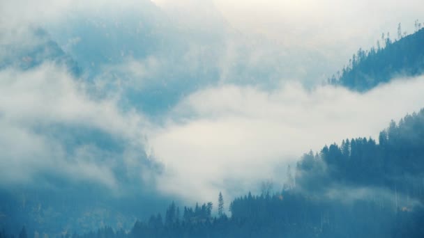 风景如画的高山风景 多雾的高山 意大利白云石 — 图库视频影像