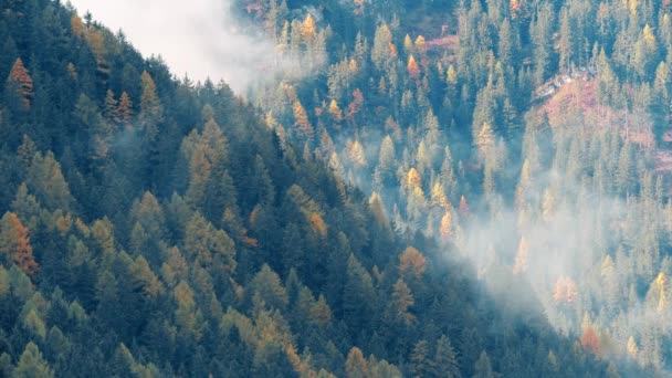 风景如画的高山风景 多雾的高山 意大利白云石 — 图库视频影像