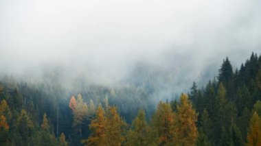 Sisli Alp Vadisi, Dolomitler, İtalya 