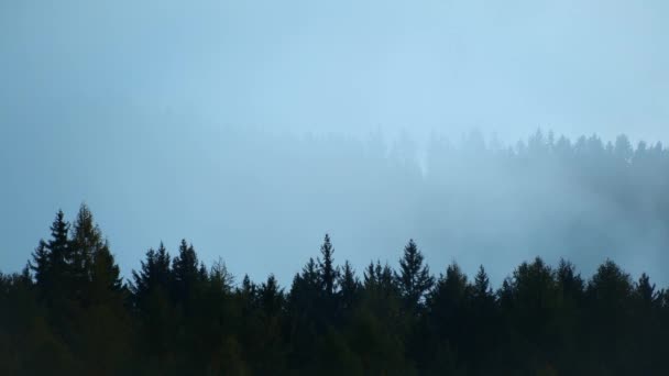 霧のような高山の谷 ドロマイト イタリアの絵の風景 — ストック動画