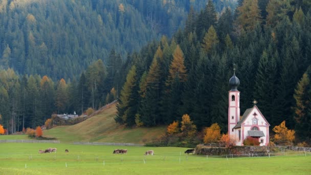 Malowniczy Krajobraz Kościoła Dolinie Alpejskiej Dolomity Austria — Wideo stockowe