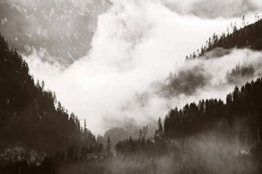 Dolomitler sis vadisi