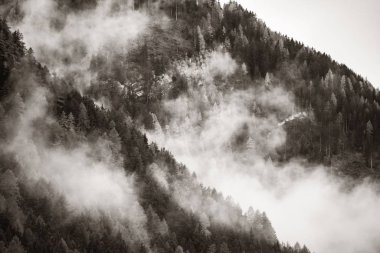 Dolomitler sis vadisi