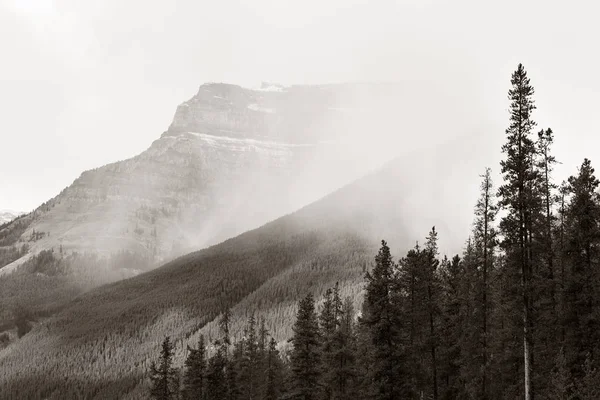 Lumivuoren lähikuva Banff — kuvapankkivalokuva