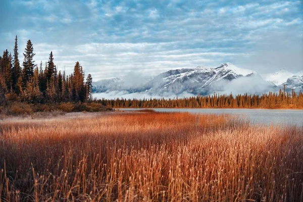 Jasper-Nationalpark Kanada — Stockfoto