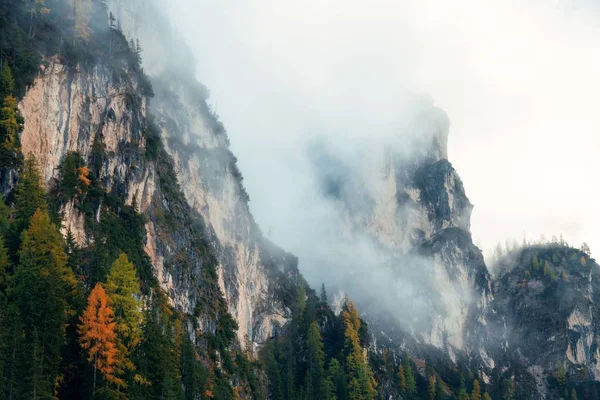 Fogliame color nebbia Dolomiti — Foto Stock