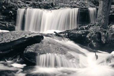 Siyah beyaz şelaleler