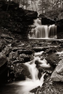 Siyah beyaz şelaleler