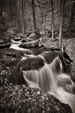 Siyah beyaz şelaleler