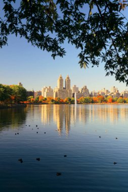 Central Park'a sonbahar