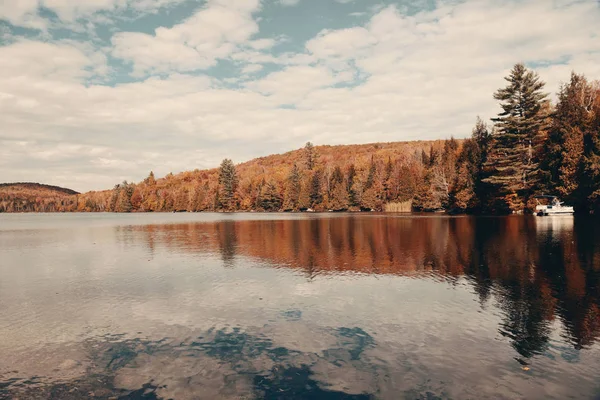 Herbstlaub am See — Stockfoto