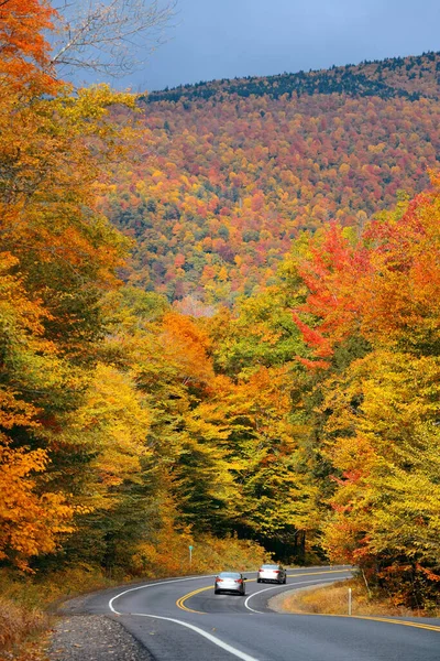 Carretera y follaje de otoño — Foto de Stock