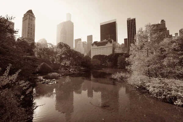 Central Park'a sonbahar — Stok fotoğraf