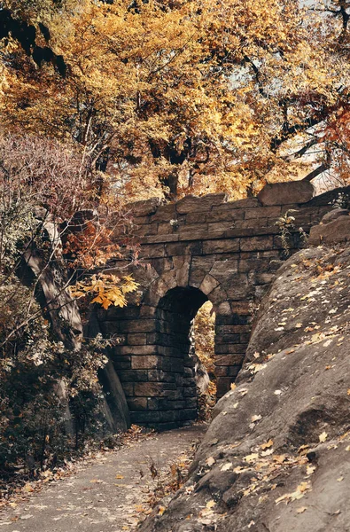 中央公園の秋 — ストック写真