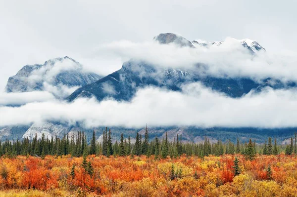 Εθνικό Πάρκο Jasper Καναδά — Φωτογραφία Αρχείου