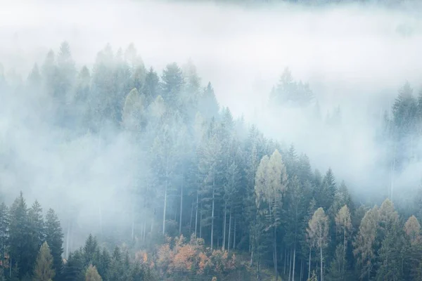 Dolomites fog valley — Stock Photo, Image