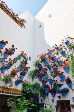 Cordoba Beautiful flower decoration 
