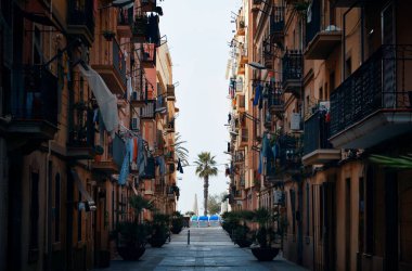 Ağaç ile Barcelona sokak görünümü