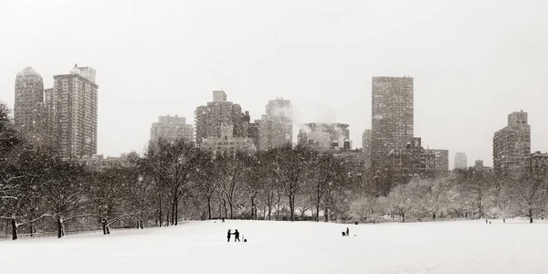 中央公园的冬天 — 图库照片