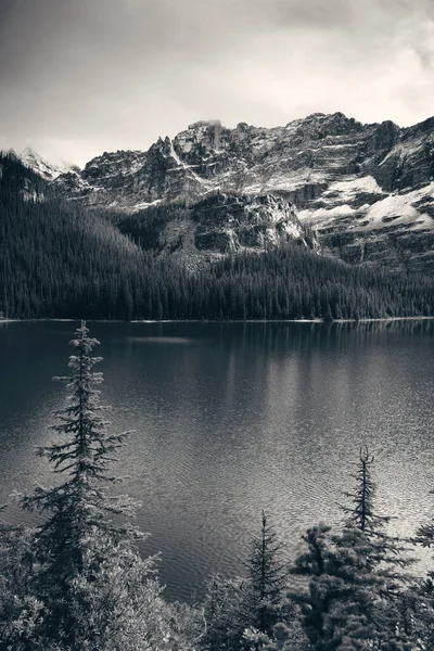 Park narodowy Yoho — Zdjęcie stockowe