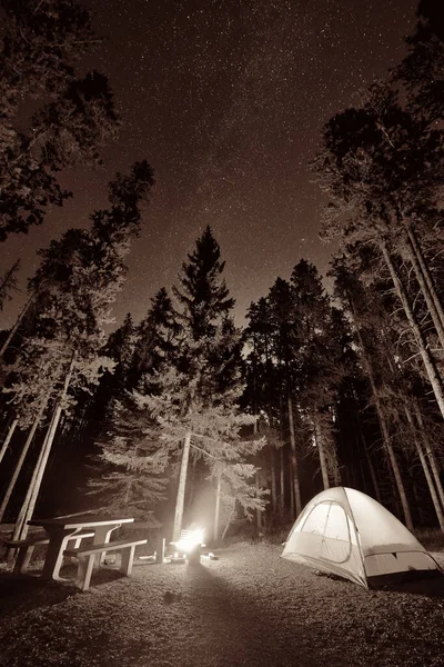 Acampar na floresta — Fotografia de Stock