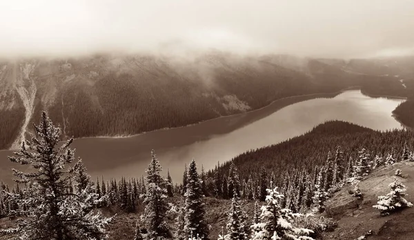 Peyto lago — Fotografia de Stock