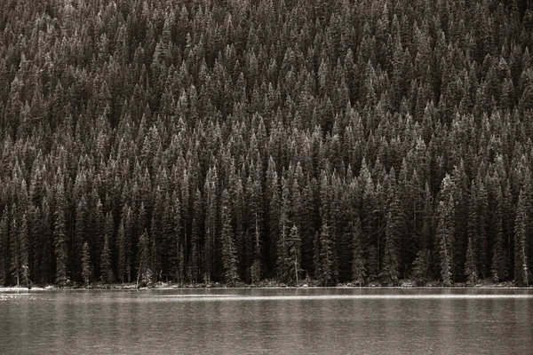 Banff Nemzeti Park — Stock Fotó