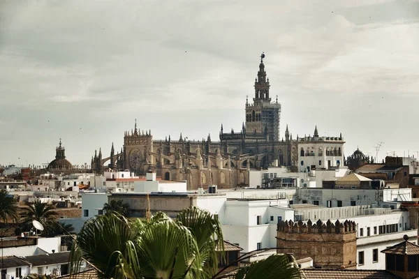 Uitzicht op het dak van de kathedraal van Sevilla — Stockfoto