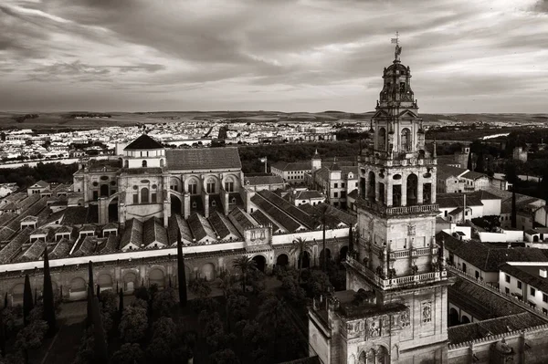 Cordoba Glockenturm Sonnenuntergang — Stockfoto