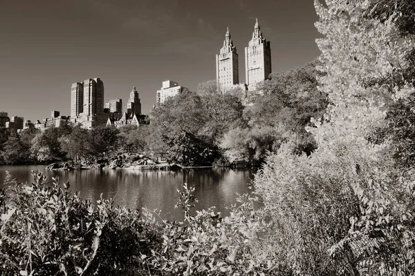 Central Park Autunno — Foto Stock