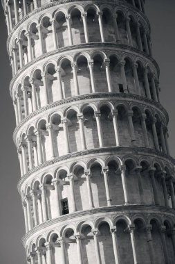 Leaning tower Pisa portre