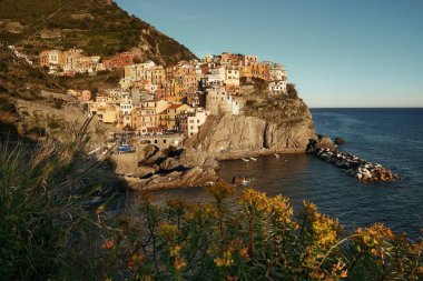 cinque terre içinde Manarola 