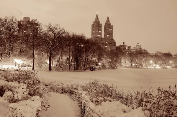 Central Park invierno — Foto de Stock