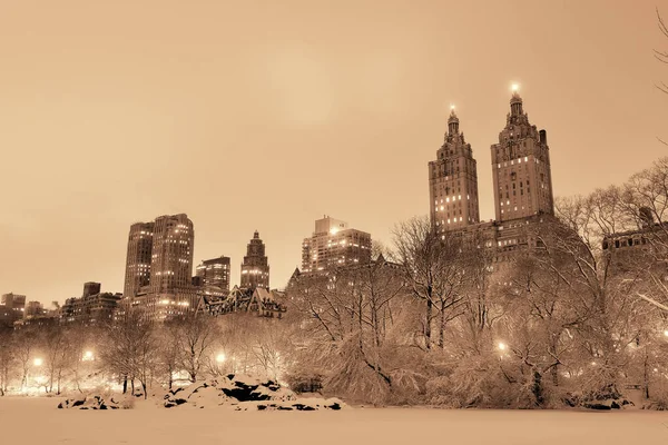 Central Park winter — Stock Photo, Image