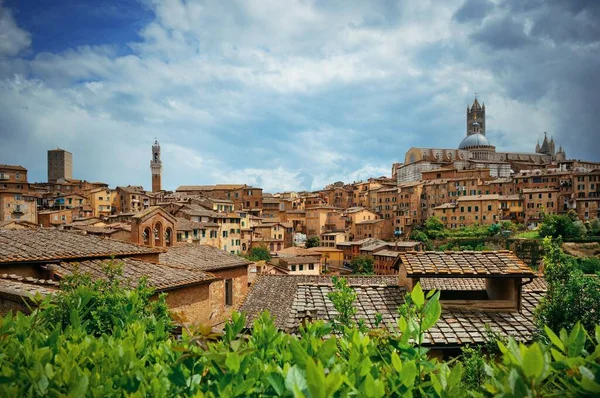Siena panorama — Stockfoto
