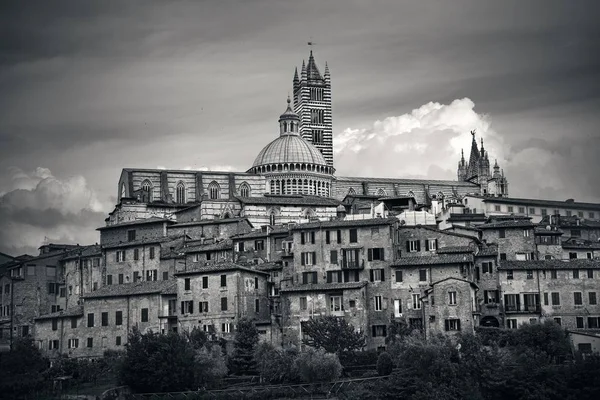 Katedra w Sienie — Zdjęcie stockowe