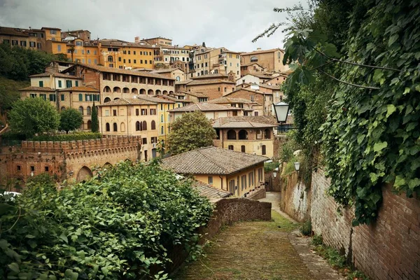 Siena vista de calle — Foto de Stock