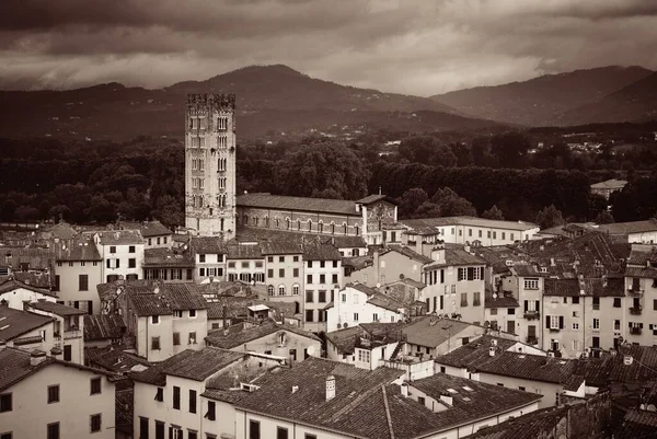 Lucca skyline tower — Stock Photo, Image