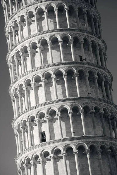 Leaning tower Pisa portre — Stok fotoğraf