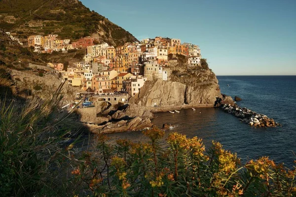 チンクエ ・ テッレ manarola — ストック写真