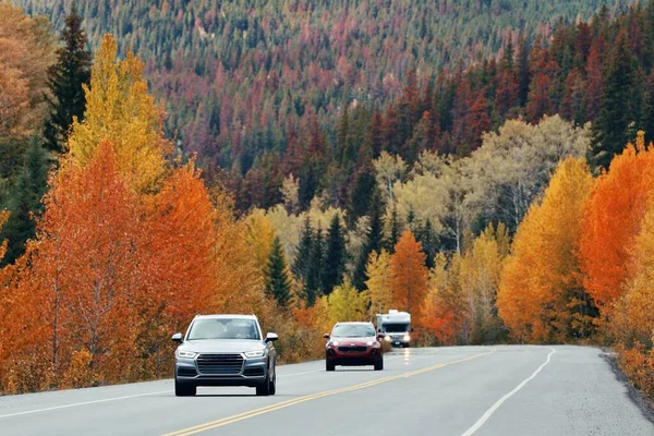 Auto Banff Nationalpark Kanada Unterwegs — Stockfoto