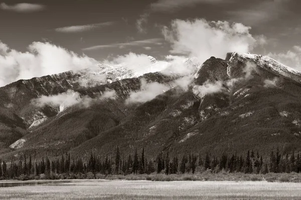 Mooie Scène Het Jasper National Park Canada — Stockfoto