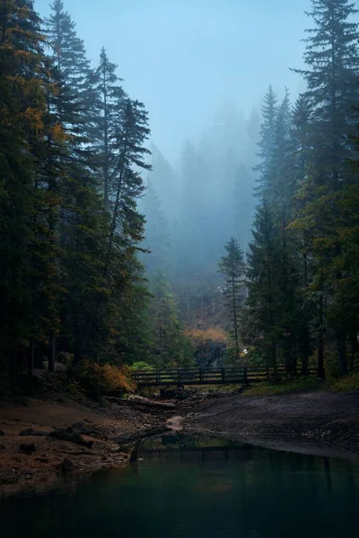 Dolomitok Természetes Tájkép Erdő Híd Köd Észak Olaszországban — Stock Fotó