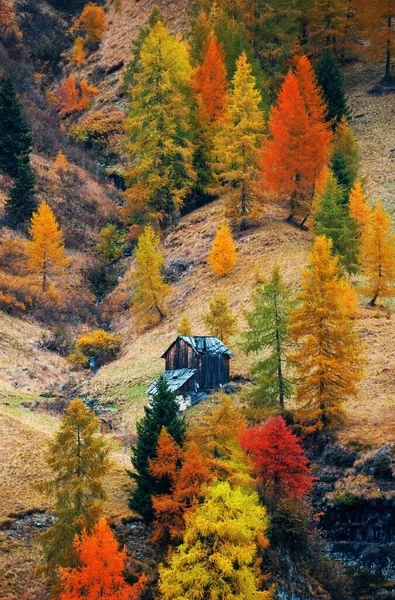 Dolomity Kolorowe Liście Jesienią Naturalnym Krajobrazem Północnych Włoszech — Zdjęcie stockowe